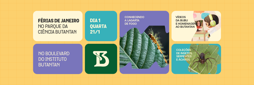 Arte com pequenos quadrados que mostram os destaques do primeiro dia da programação de férias do Parque da Ciência